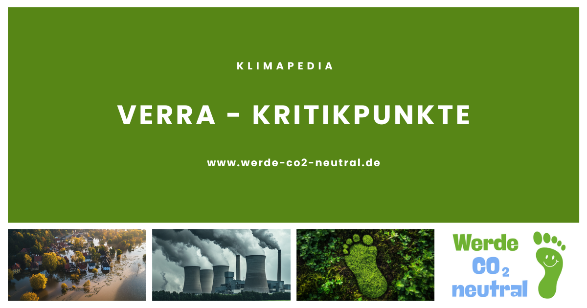 Verra - Kritikpunkte