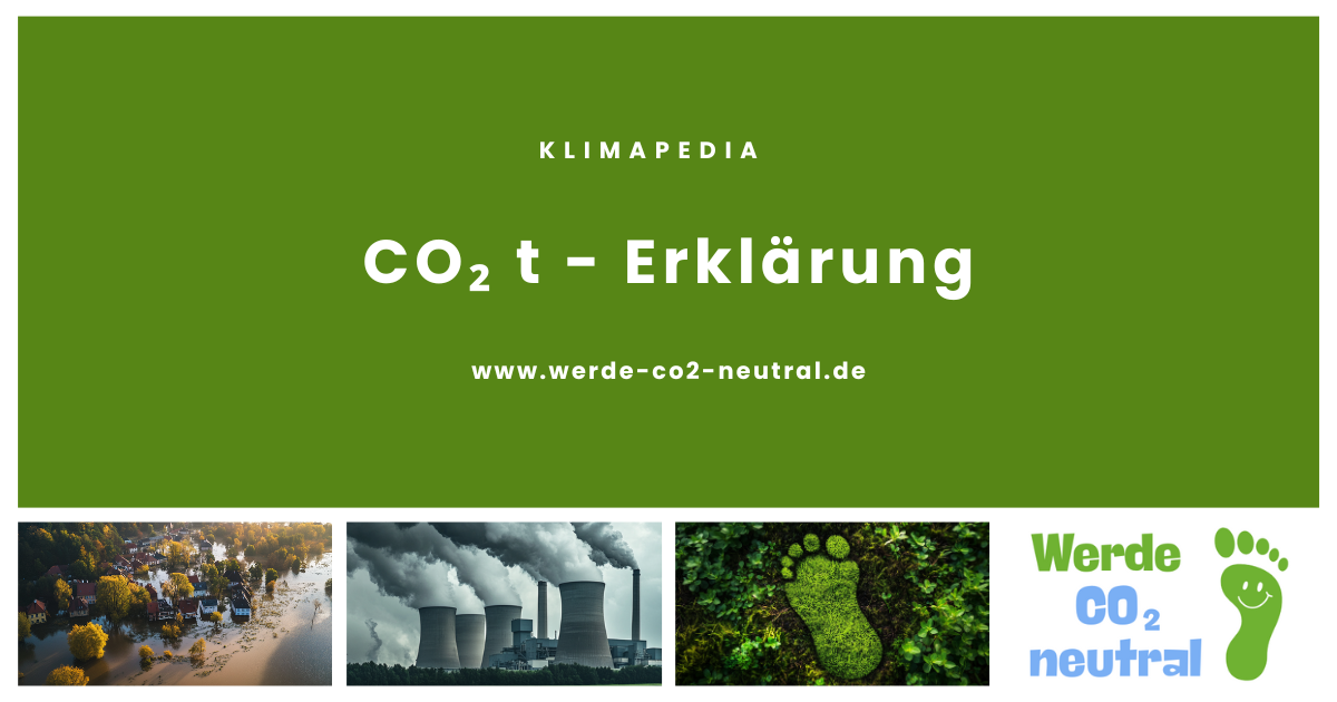 CO₂ t - Erklärung